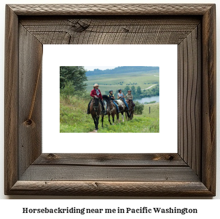 horseback riding near me in Pacific, Washington